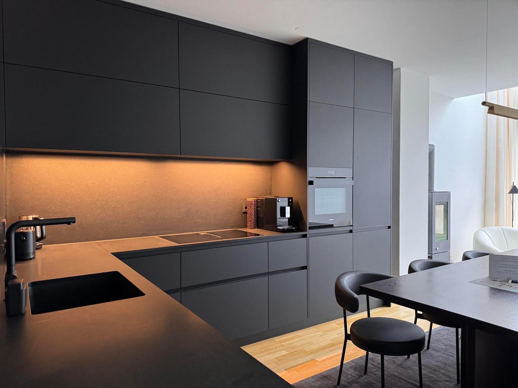 ドレスデン Townhouse Alaunparkヴィラ エクステリア 写真