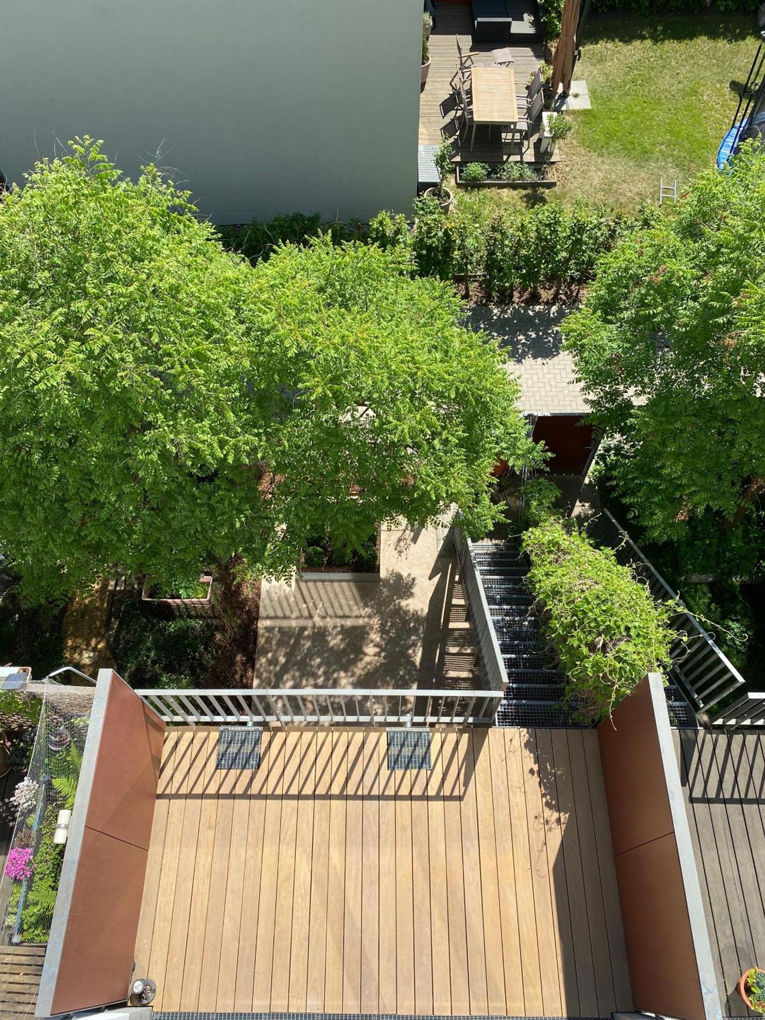 ドレスデン Townhouse Alaunparkヴィラ エクステリア 写真