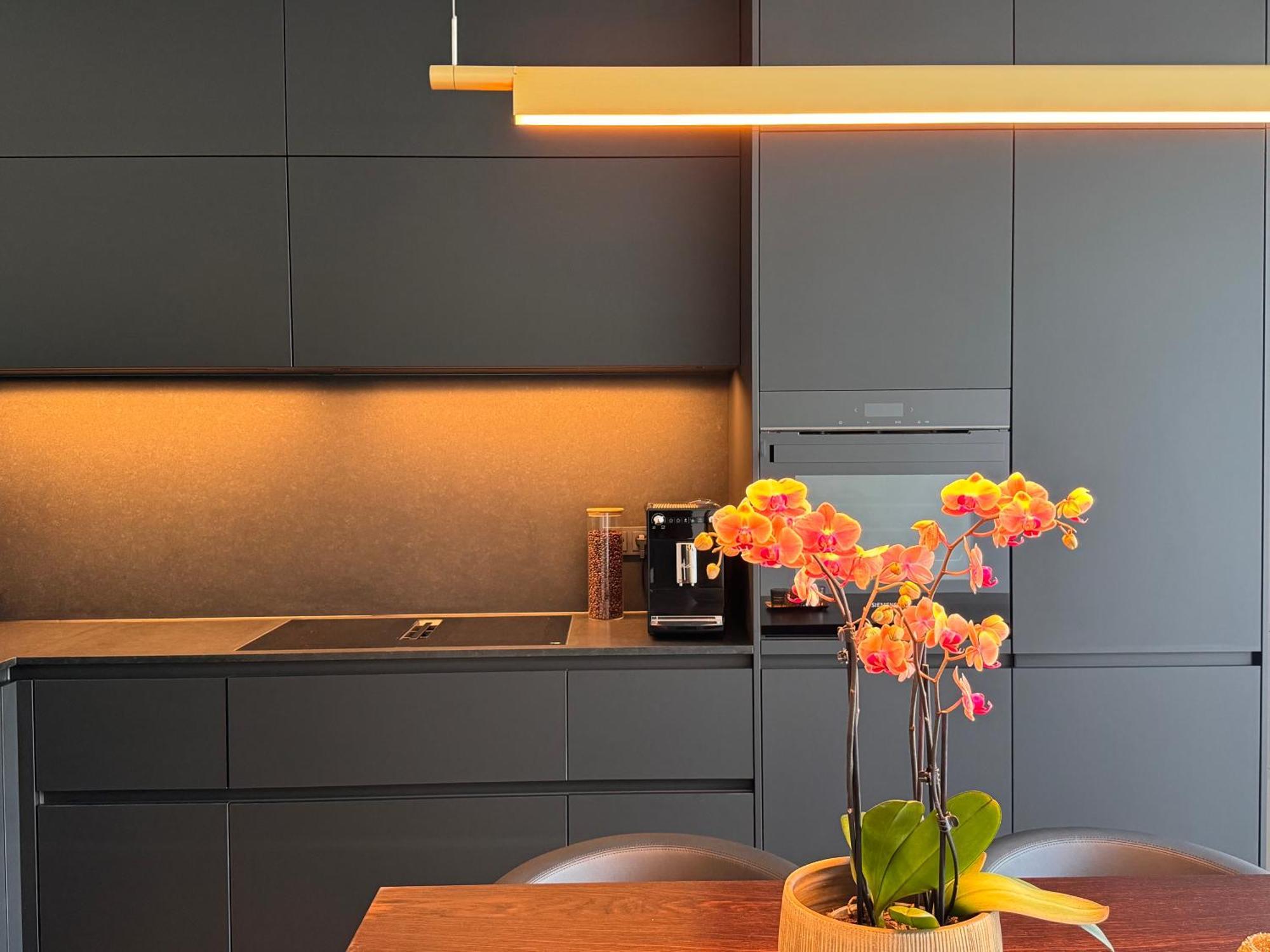 ドレスデン Townhouse Alaunparkヴィラ エクステリア 写真